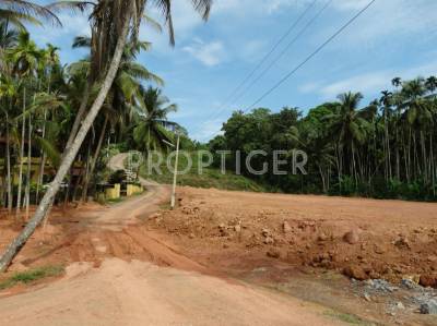 Images for Main Other of Redrocks Blueberry Greens Plots