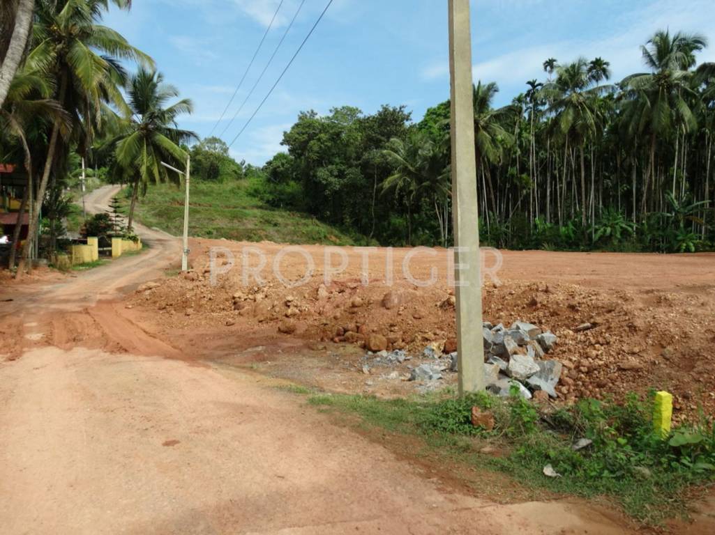 Images for Main Other of Redrocks Blueberry Greens Plots