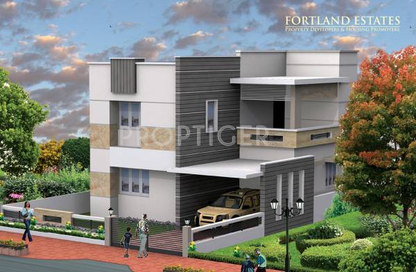 Images for Elevation of Fortland Euphoria