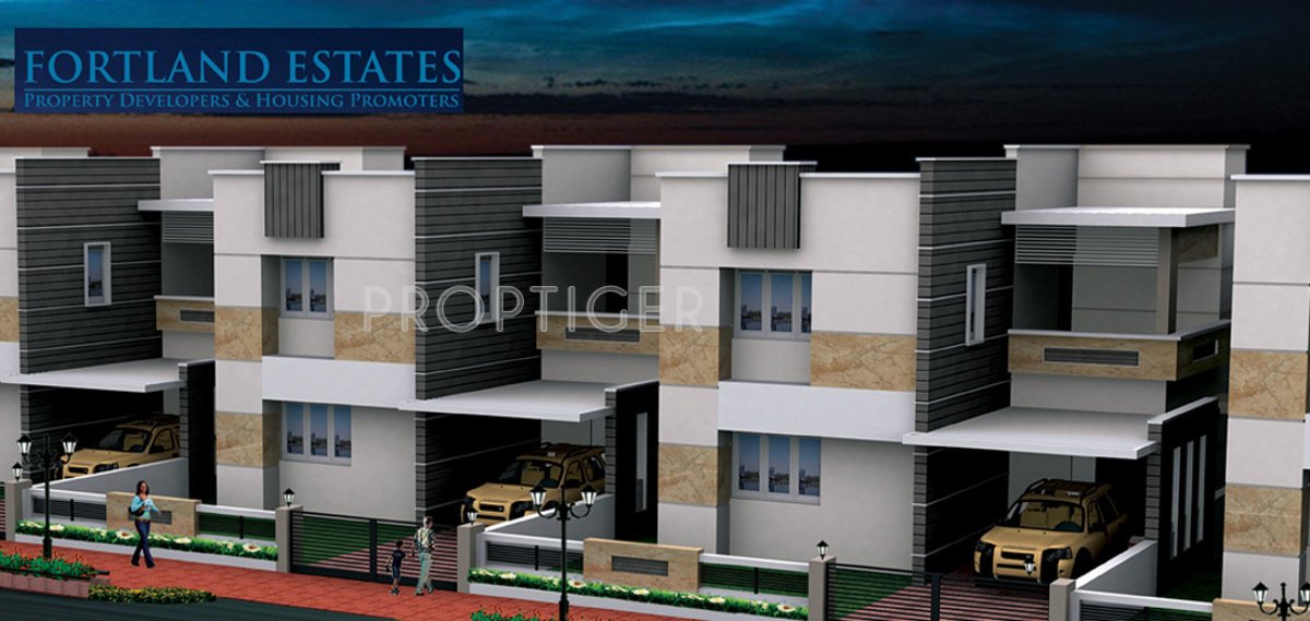 Images for Elevation of Fortland Euphoria