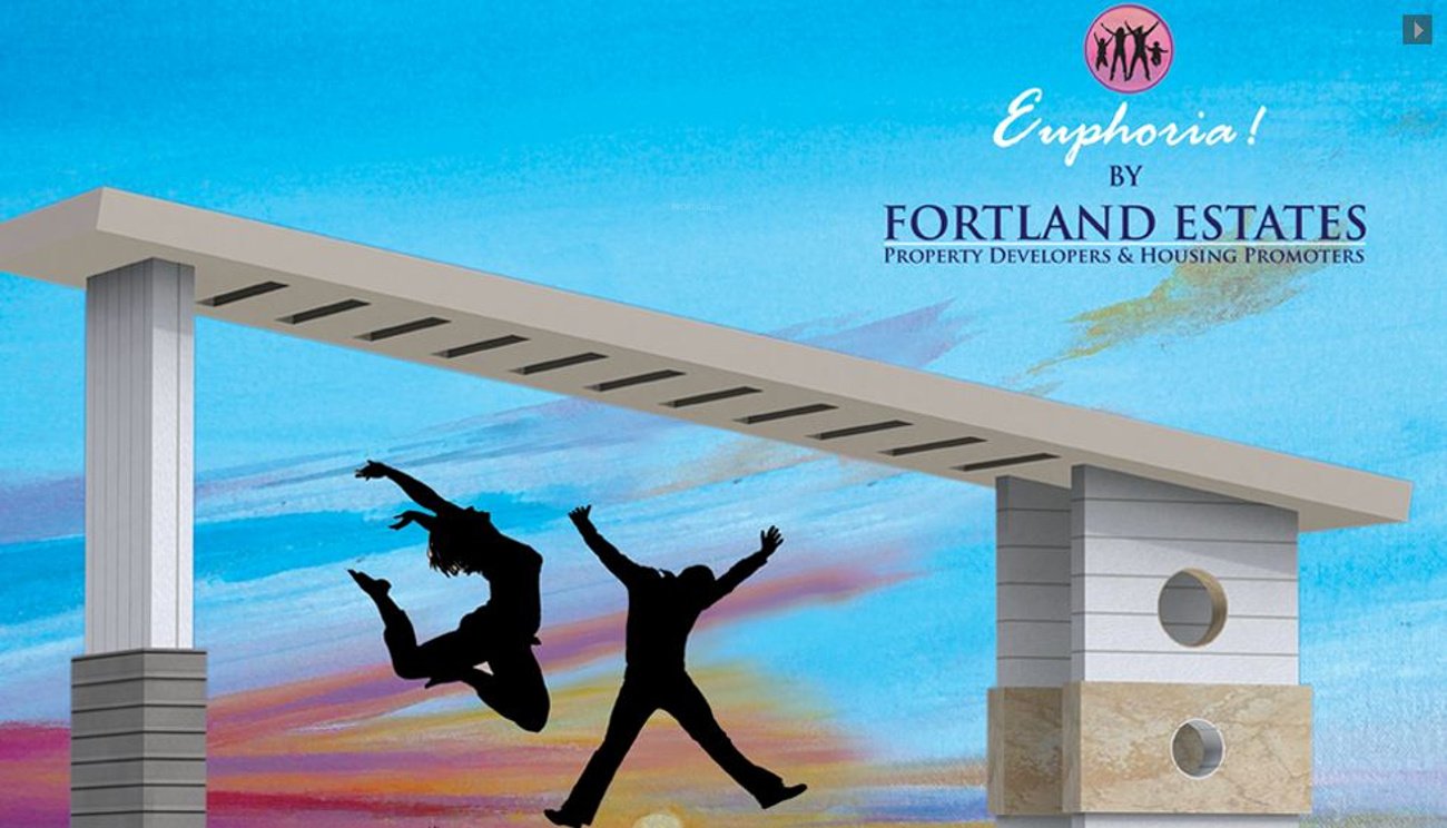 Images for Amenities of Fortland Euphoria