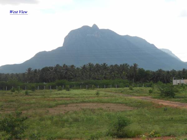 Images for Amenities of Fortland Euphoria Images for Amenities of Fortland Euphoria