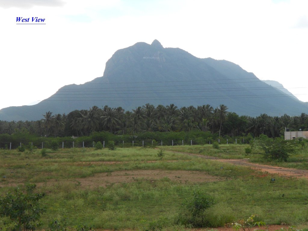 Images for Amenities of Fortland Euphoria