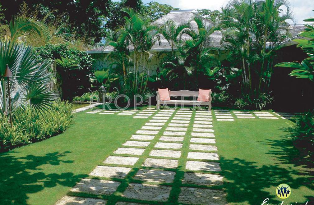 Images for Amenities of Fortland Euphoria