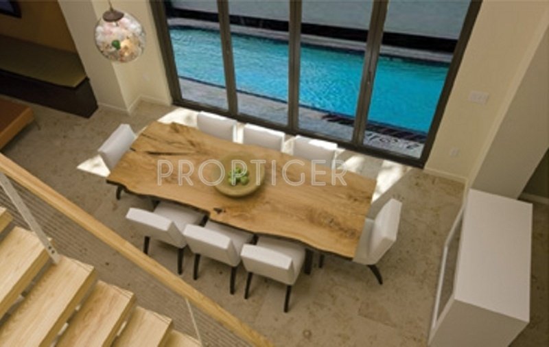 Images for Main Other of Fortland Euphoria