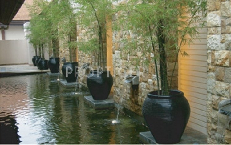 Images for Main Other of Fortland Euphoria