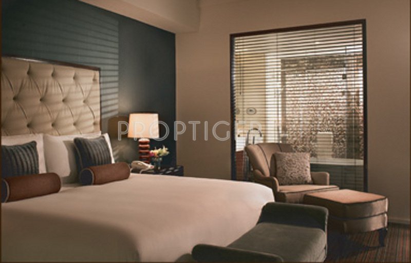 Images for Main Other of Fortland Euphoria