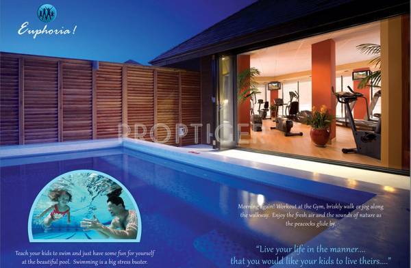 Images for Main Other of Fortland Euphoria Images for Main Other of Fortland Euphoria