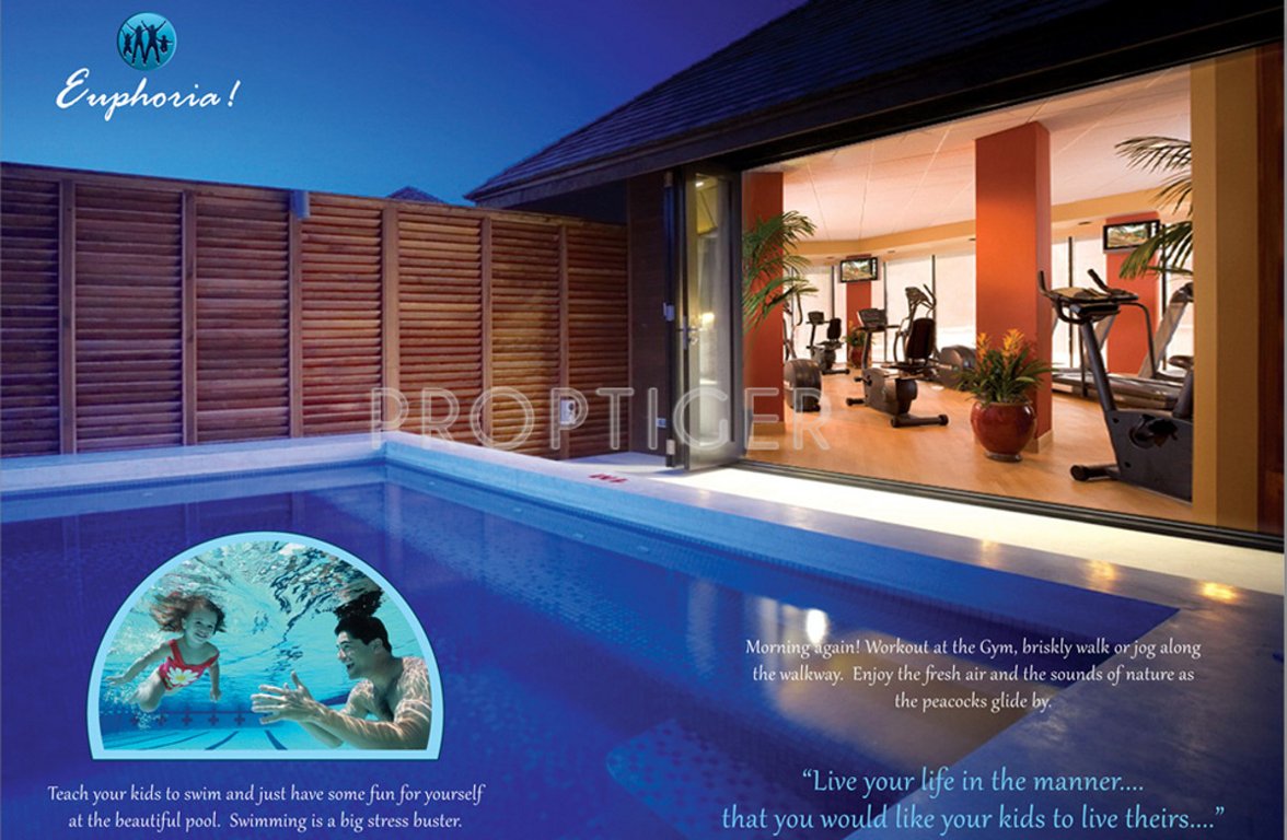 Images for Main Other of Fortland Euphoria