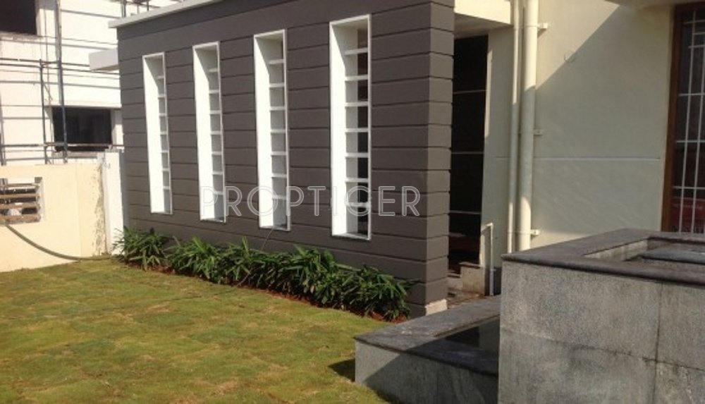 Images for Main Other of Fortland Euphoria