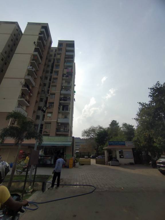 city homes Elevation