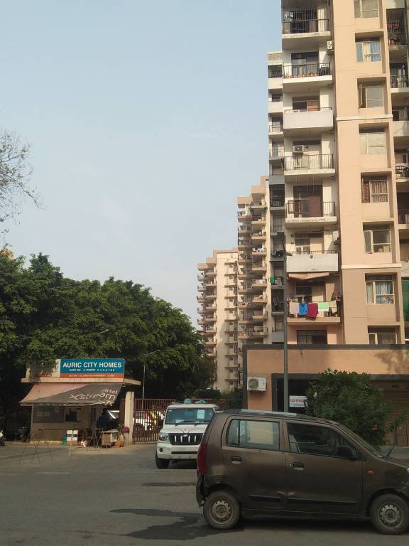 city homes Elevation