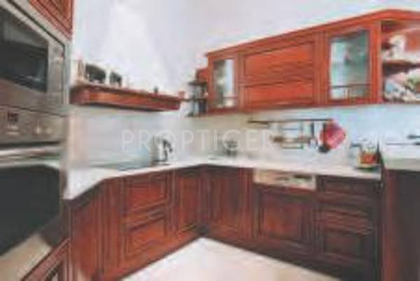 Images for Main Other of Poonam Jayadev Images for Main Other of Poonam Jayadev