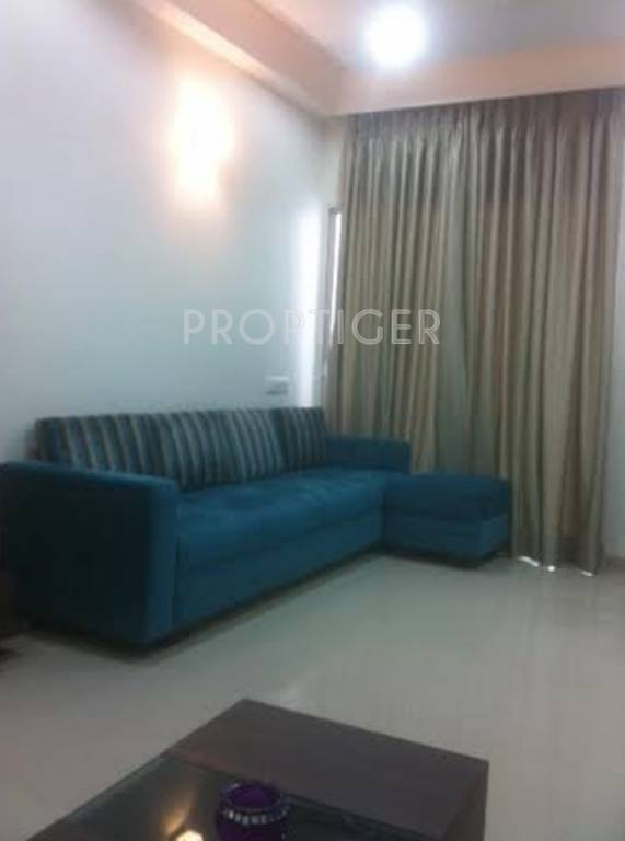 Images for Main Other of Shivam Pearl 100