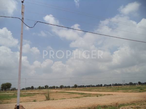 Images for Main Other of Felicity Maple Woods