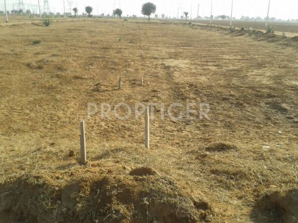 Images for Main Other of Felicity Maple Woods