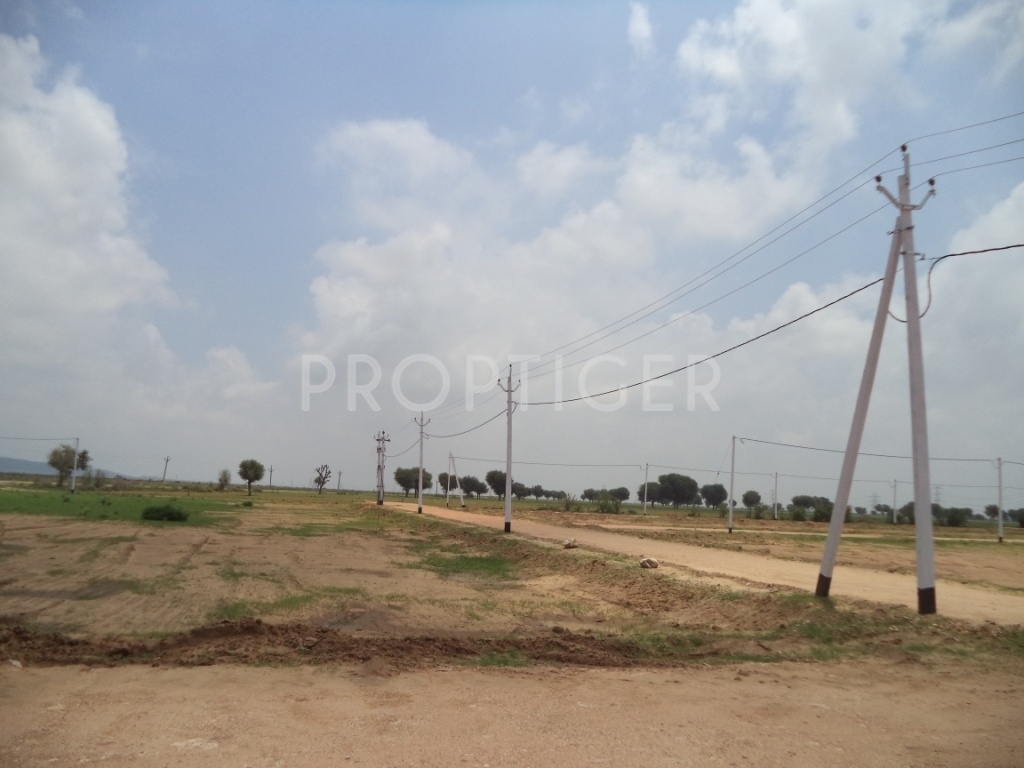 Images for Main Other of Felicity Maple Woods