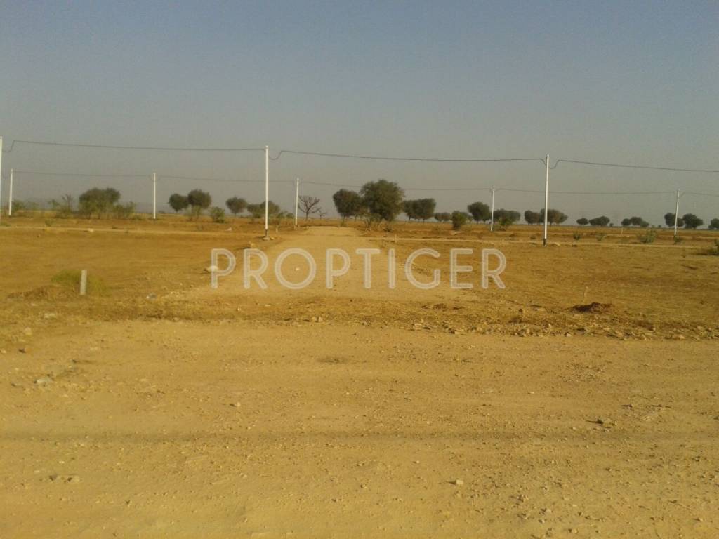 Images for Main Other of Felicity Maple Woods