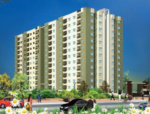 Images for Elevation of Confident Oberon oberon Images for Elevation of Confident Oberon