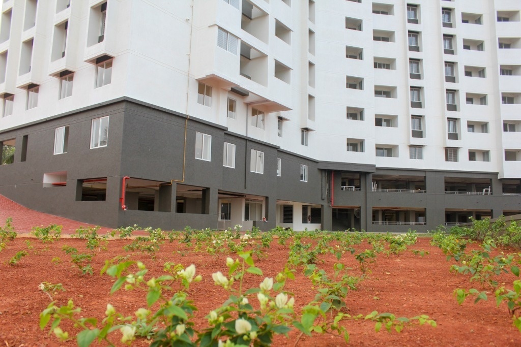  classique ruby Others