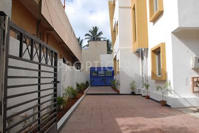 foundations shankara Main Other