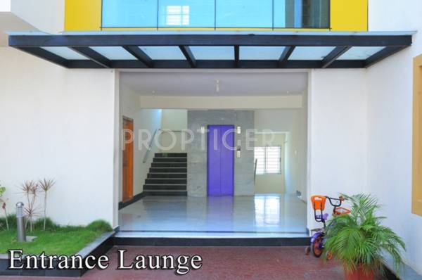 foundations shankara Main Other