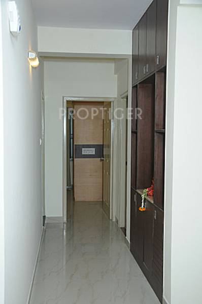 foundations shankara Main Other