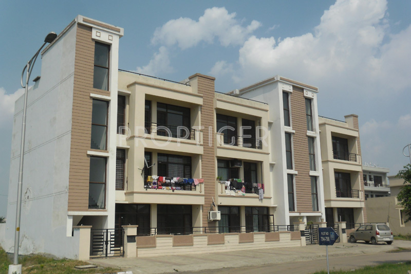 Images for Elevation of TDI Spring Leaf