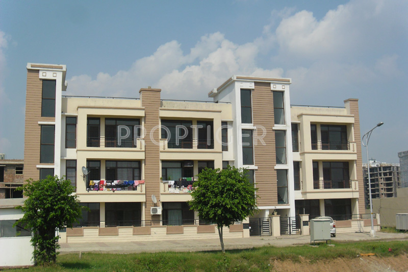 Images for Elevation of TDI Spring Leaf