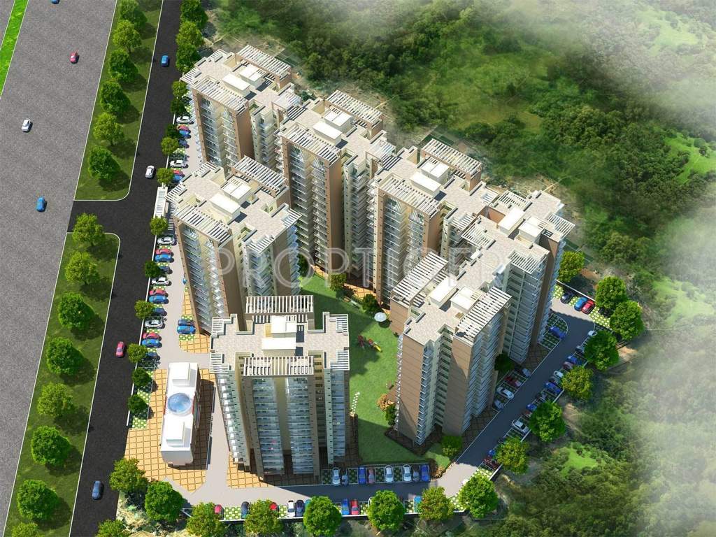 Images for Elevation of Ramsons Kshitij