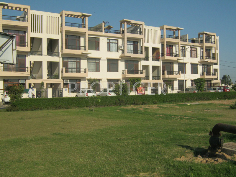 Images for Elevation of TDI My Floors