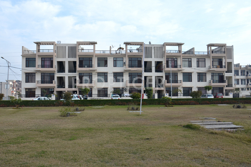 Images for Elevation of TDI My Floors