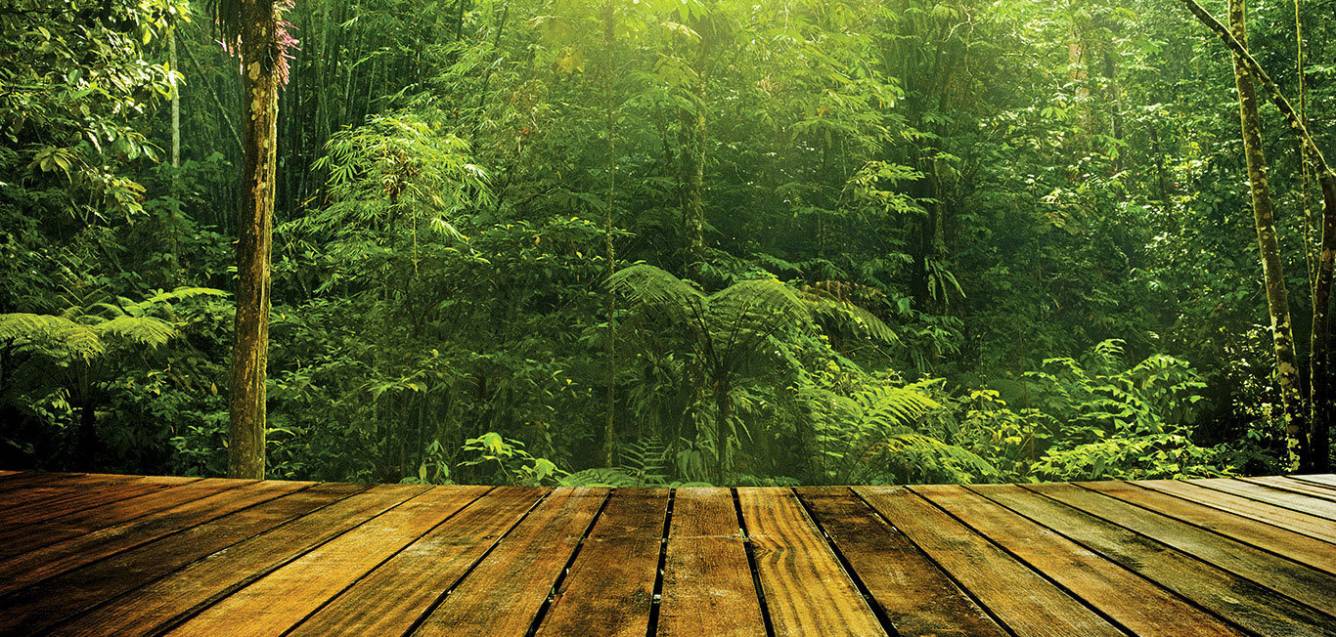 Images for Amenities of Safal Glade One