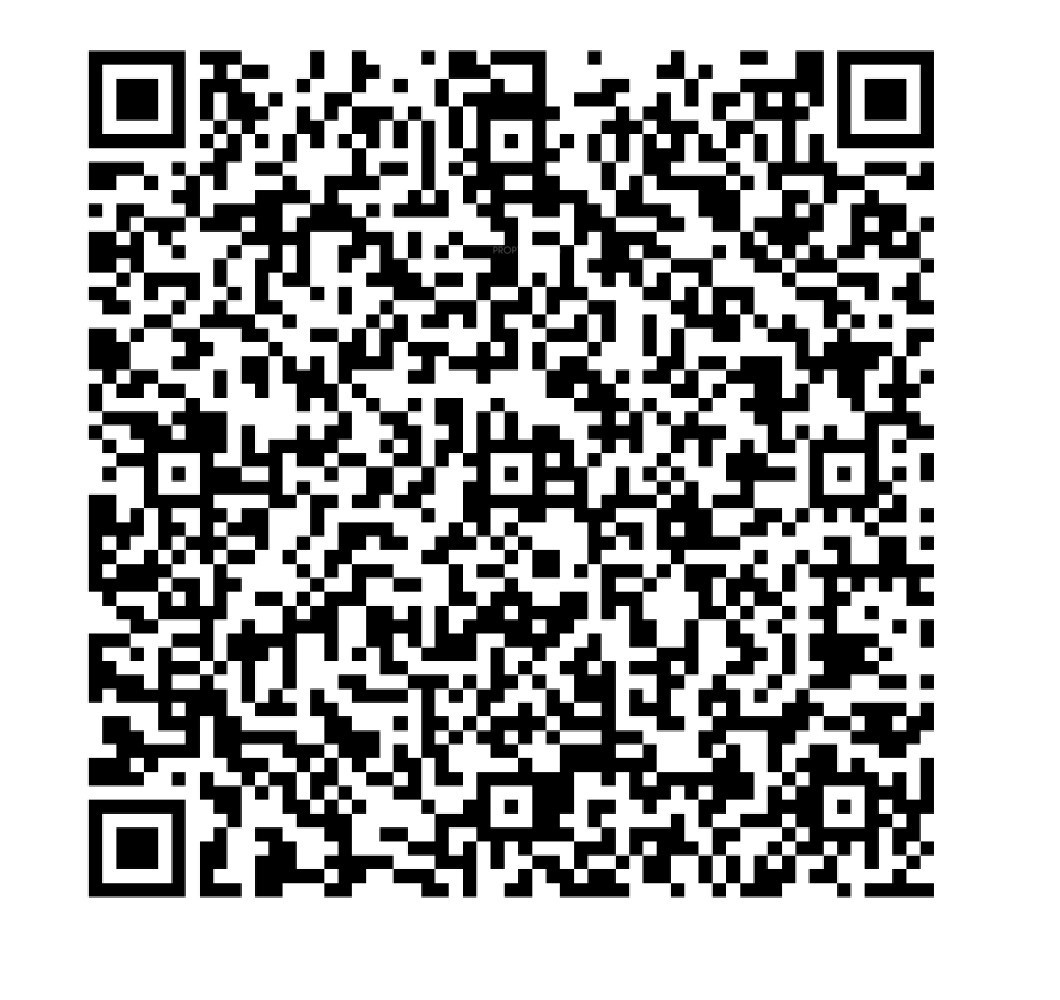 QR Image