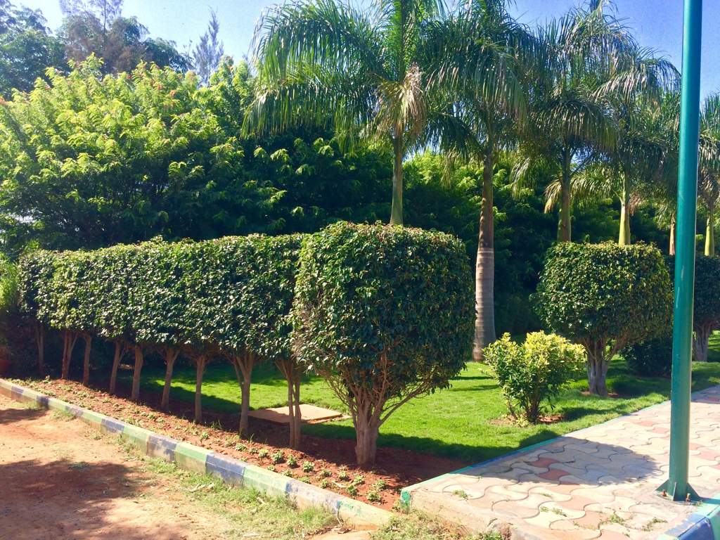 Images for Amenities of Adventz Zuari Garden City Villa