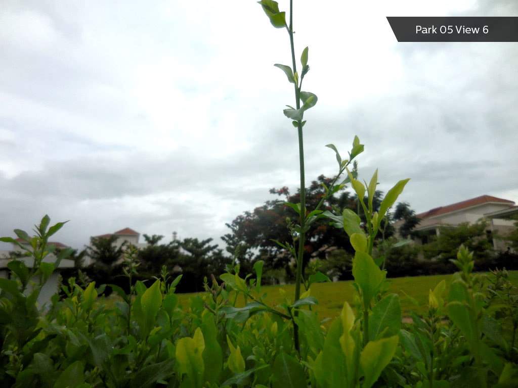 Images for Amenities of Adventz Zuari Garden City Villa