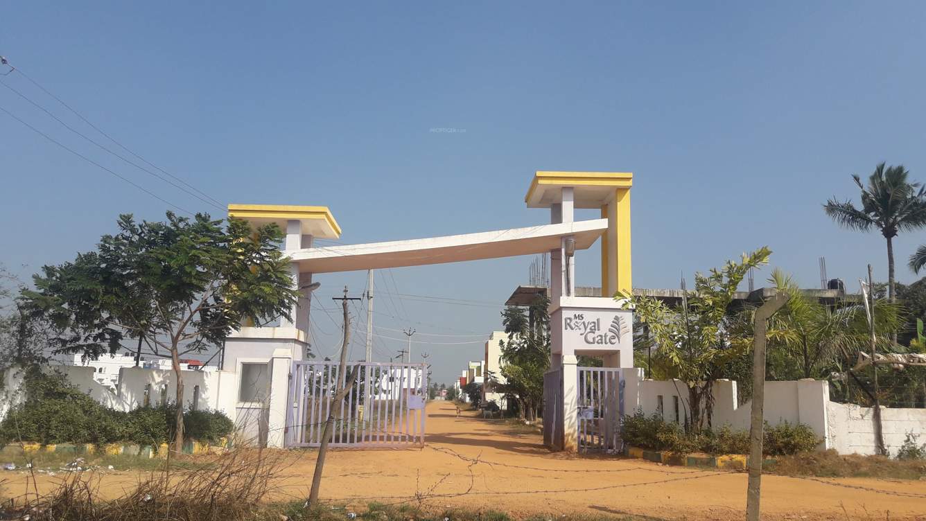 Images for Elevation of MS Royal Gate