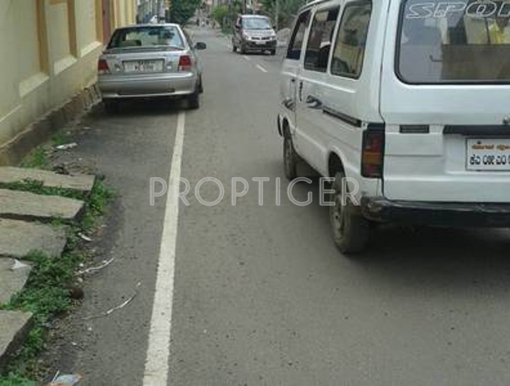 Images for Main Other of Silverline Orchid I