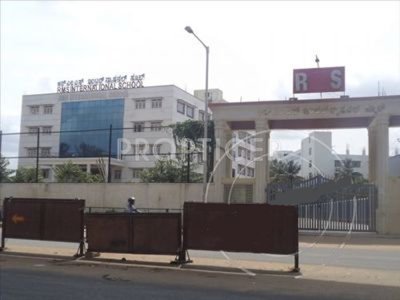 Images for Main Other of Silverline Orchid I Images for Main Other of Silverline Orchid I