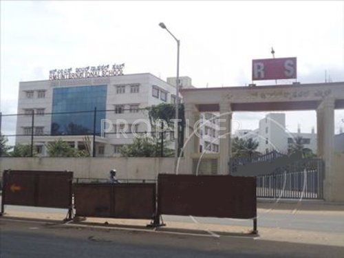 Images for Main Other of Silverline Orchid I Images for Main Other of Silverline Orchid I