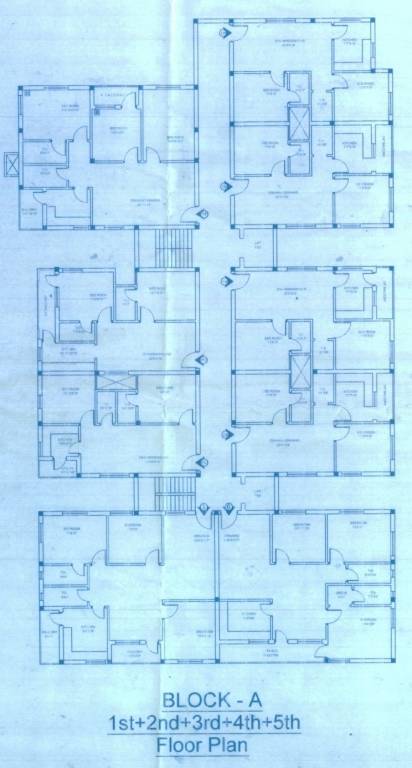 Images for Cluster Plan of Specimens The Pride