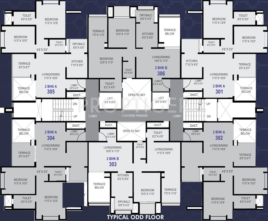 Images for Cluster Plan of Shree Ram Saanvi