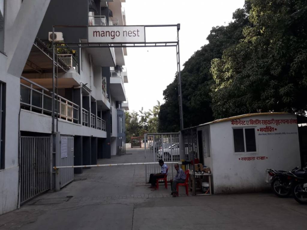 mango nest Elevation