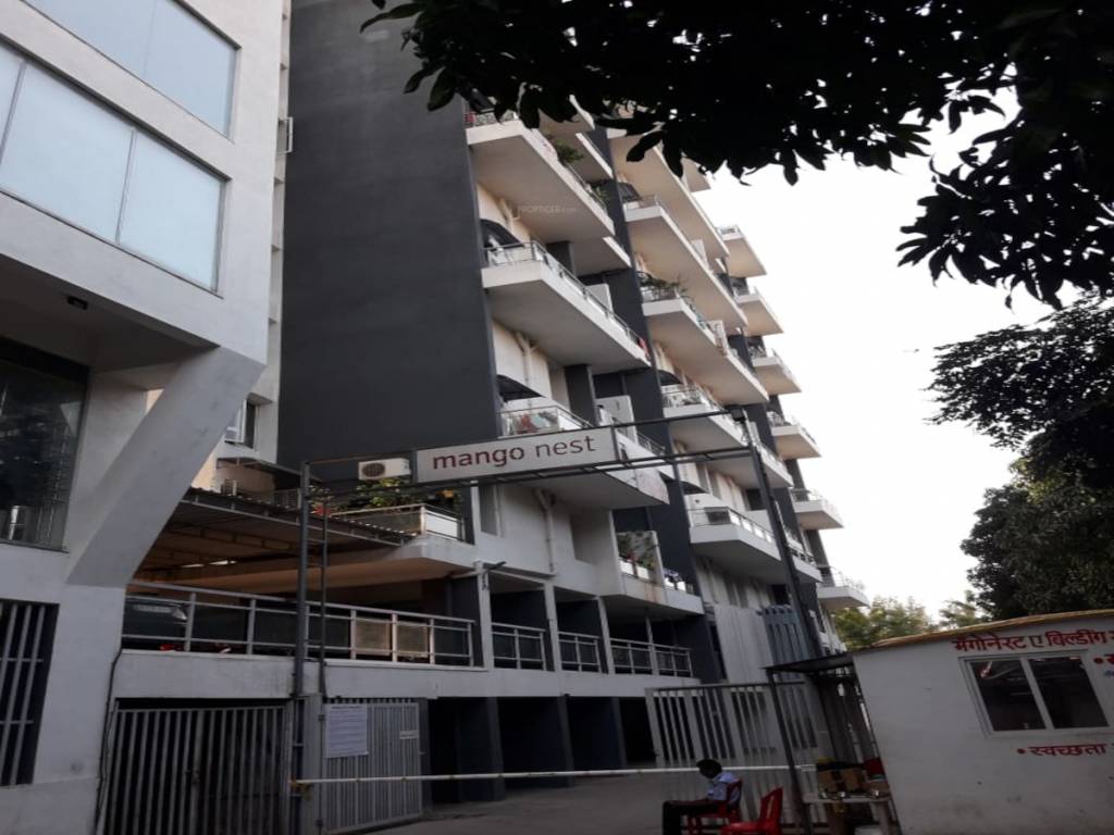 mango nest Elevation