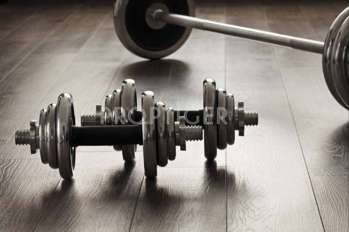 981 sqft 2 bhk Apartment Royal Palms India Ruby Isle Other