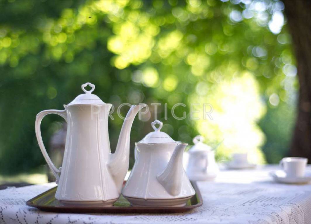 981 sqft 2 bhk Apartment Royal Palms India Ruby Isle Other