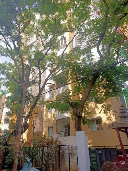 Elevation apartment Elevation