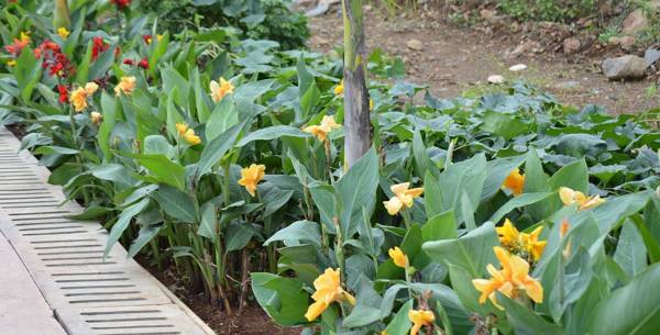 Images for Amenities of Dedhia Builders And Developers Elcanto