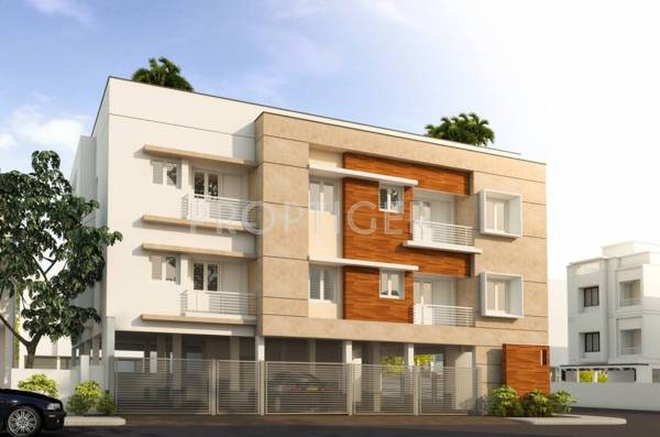 Images for Elevation of Triumphant Royal Olive Images for Elevation of Triumphant Royal Olive