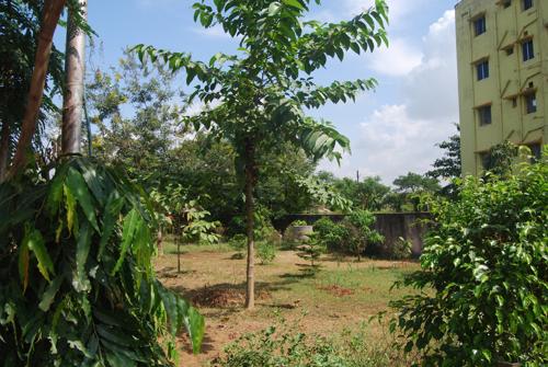 Images for Amenities of Ajiban Subhadra Apartments Images for Amenities of Ajiban Subhadra Apartments